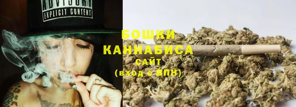 прущая мука Каменка